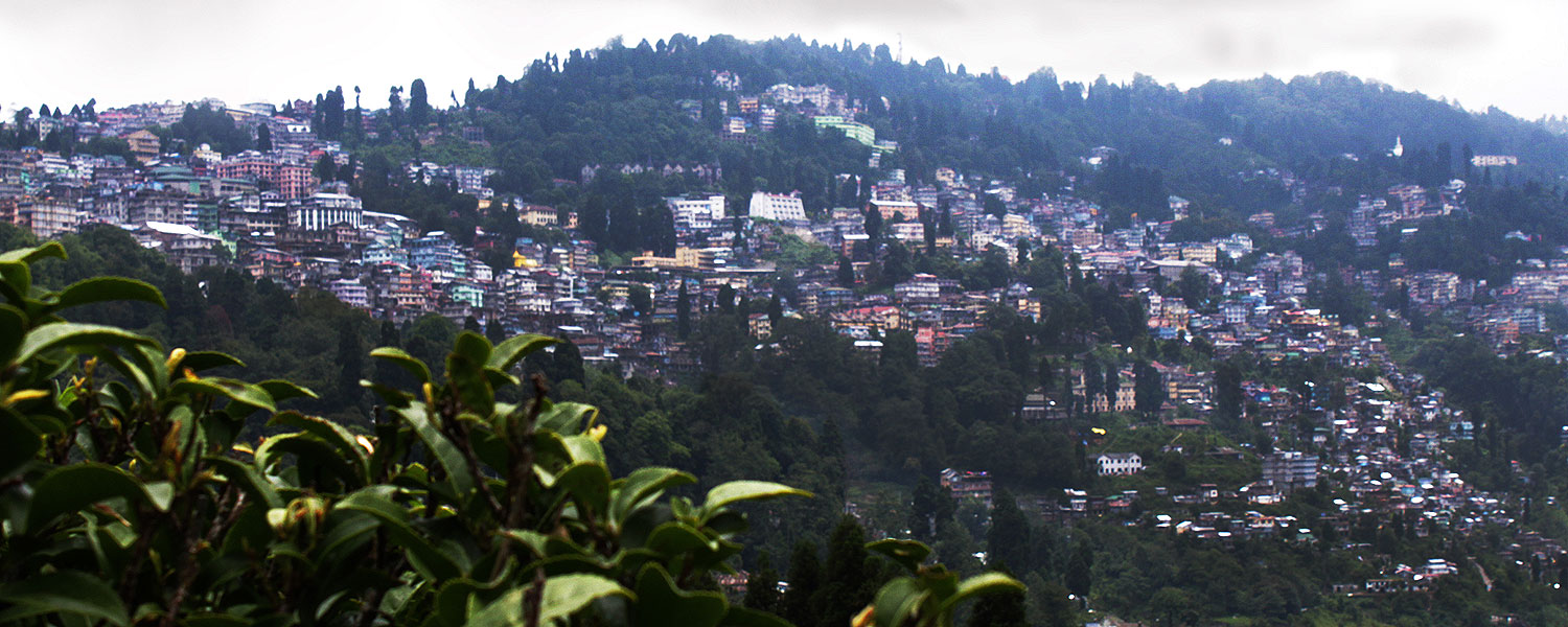  Darjeeling